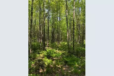 387 Smith Ridge Road, Dennysville, ME 04628 - Photo 4