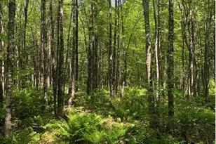 387 Smith Ridge Rd, Dennysville, ME 04628 - Photo 4