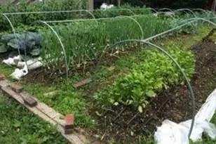 387 Smith Ridge Rd, Dennysville, ME 04628 - Photo 26