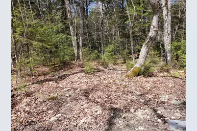 1.3 Ac Off Barrows Lake Road, Alexander, ME 04694 - Photo 4