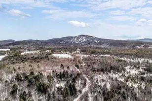 113 Bird Hill Rd, Bethel, ME 04217 - Photo 48