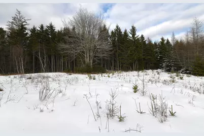 12 Lindsay's Road, Deer Isle, ME 04627 - Photo 1