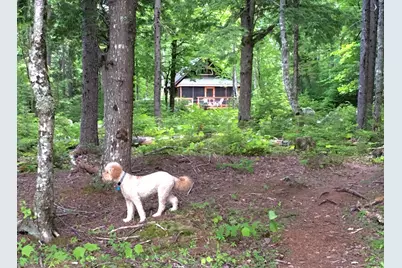 277 Gus Moore Road, Penobscot, ME 04476 - Photo 46