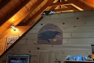 277 Gus Moore Rd, Penobscot, ME 04476 - Photo 32