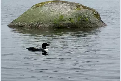 277 Gus Moore Road, Penobscot, ME 04476 - Photo 36