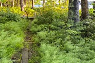 277 Gus Moore Rd, Penobscot, ME 04476 - Photo 14