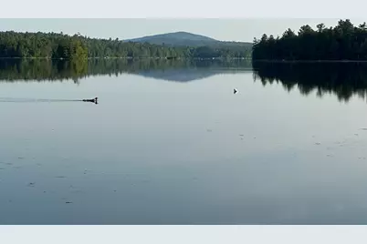 277 Gus Moore Road, Penobscot, ME 04476 - Photo 44