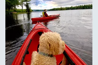 277 Gus Moore Road, Penobscot, ME 04476 - Photo 18