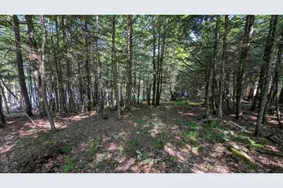Lot #8 Kolm Lane, Garland, ME 04939 - Photo 2
