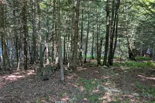 Lot #8 Kolm Ln, Garland, ME 04939 - Photo 1