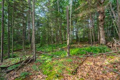 2A Ivy Lane, Kennebunkport, ME 04046 - Photo 6