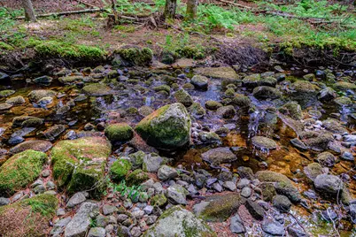 507 Norway Road, Harrison, ME 04040 - Photo 66