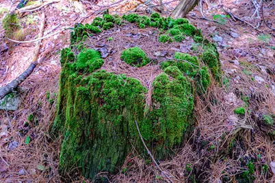 507 Norway Road, Harrison, ME 04040 - Photo 70