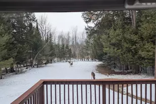 1 Nishell Dr, Paris, ME 04281 - Photo 56