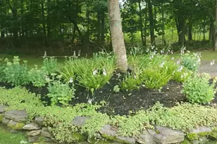 259 River Rd, Orrington, ME 04474 - Photo 52