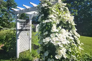 259 River Rd, Orrington, ME 04474 - Photo 54