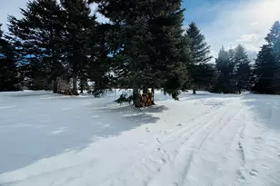 49 Spruce Ridge Rd, Caribou, ME 04736 - Photo 4