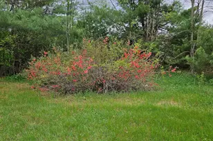 1696 Federal Rd, Livermore, ME 04253 - Photo 52