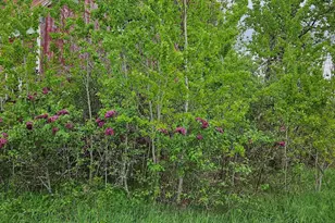 1696 Federal Rd, Livermore, ME 04253 - Photo 58