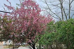 1696 Federal Rd, Livermore, ME 04253 - Photo 60