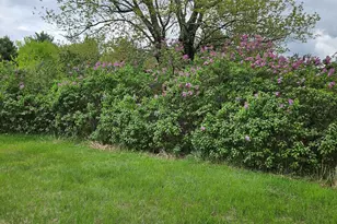 1696 Federal Rd, Livermore, ME 04253 - Photo 50