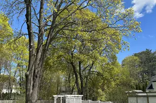 431 Hammond St, Bangor, ME 04401 - Photo 70