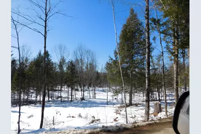 Lot # 3 Spring Bridge Road, Greenbush, ME 04418 - Photo 8