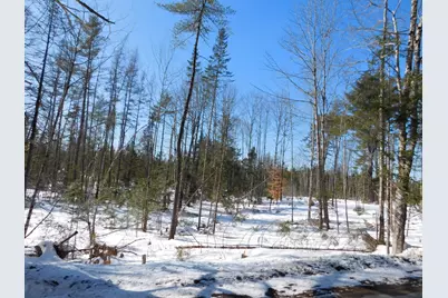 Lot # 3 Spring Bridge Road, Greenbush, ME 04418 - Photo 2