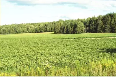 558 Center Limestone Road, Fort Fairfield, ME 04742 - Photo 50