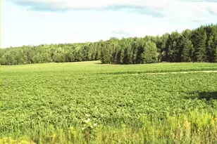 558 Center Limestone Rd, Fort Fairfield, ME 04742 - Photo 50