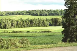 558 Center Limestone Rd, Fort Fairfield, ME 04742 - Photo 48