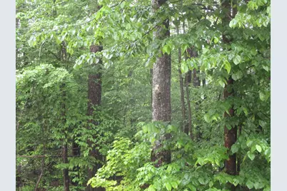 Lot 8 Northwood Estates, Sebago, ME 04029 - Photo 1