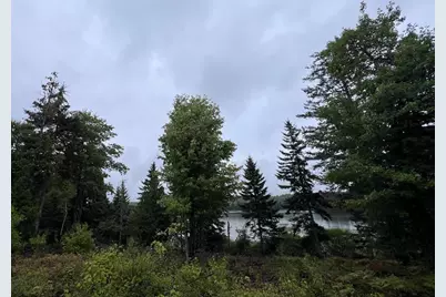 Lot 7Bh Steam Mill Road, Robbinston, ME 04671 - Photo 4