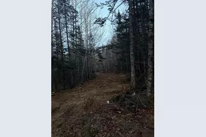 Lot 7Bh Steam Mill Road, Robbinston, ME 04671 - Photo 14