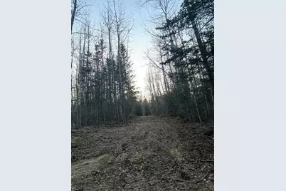 Lot 7Bh Steam Mill Road, Robbinston, ME 04671 - Photo 6