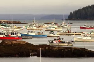 20 Tea Hill Rd, Stonington, ME 04681 - Photo 20