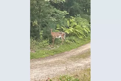 776 Cape Road, Hollis, ME 04042 - Photo 34