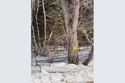 M2 L18 Long Falls Dam Road N #N/A, Limington, ME 04961 - Photo 14