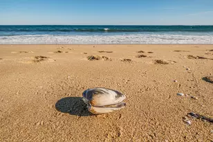 7 Bay Ave, Old Orchard Beach, ME 04064 - Photo 28