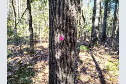 49 Glacier Lane, Northfield, ME 04654 - Photo 8