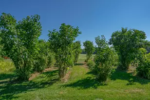 697 Fort Hill Rd, Gorham, ME 04038 - Photo 40