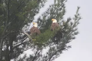 38 Main St, Topsham, ME 04086 - Photo 54