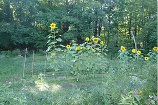 38 Main St, Topsham, ME 04086 - Photo 62