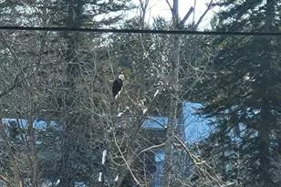 116 Center St, Van Buren, ME 04785 - Photo 36