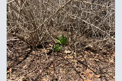 87 Monroe Highway, Brooks, ME 04921 - Photo 34