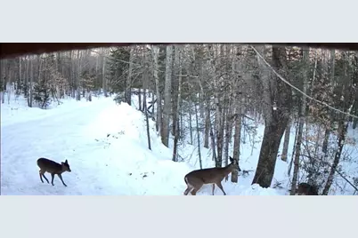 8 Magnolia Lane, Starks, ME 04938 - Photo 38