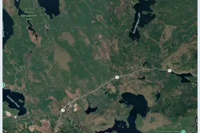 Map10Lot27 Blackswoods Road, Franklin, ME 04634 - Photo 1