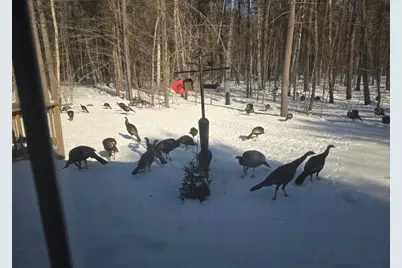 79 Lancaster Road, Pittston, ME 04345 - Photo 50