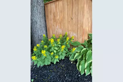 18 Winter Street, Millinocket, ME 04462 - Photo 24