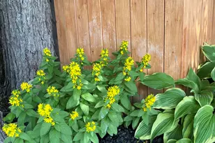 18 Winter St, Millinocket, ME 04462 - Photo 30